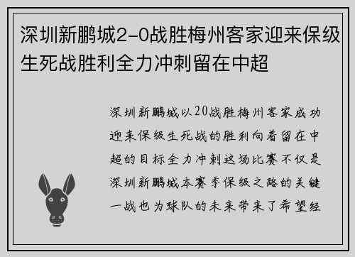 深圳新鹏城2-0战胜梅州客家迎来保级生死战胜利全力冲刺留在中超